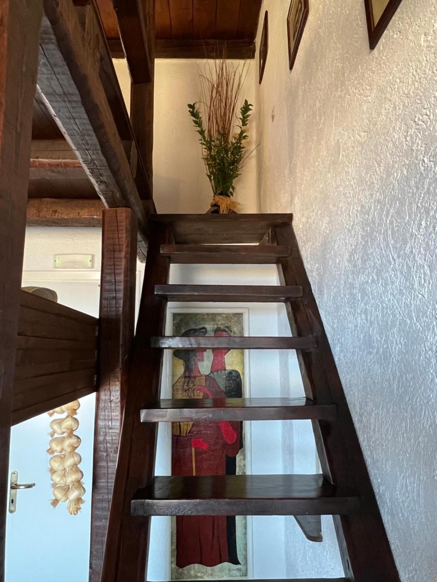 Ferienhaus Pasithea House
